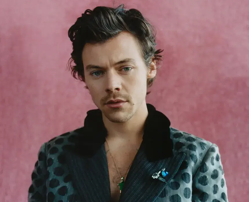 Czy Harry Styles jest gejem? - Fakty o orientacji gwiazdy muzyki