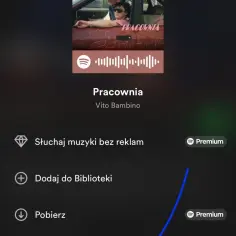 Jak łatwo dodać piosenkę ze Spotify na Instastory bez problemów