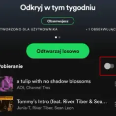 Ile internetu pobiera Spotify i jak uniknąć nadmiernego zużycia?
